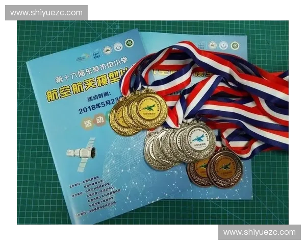 裁判培训体系建设与实战能力提升综合研究方案