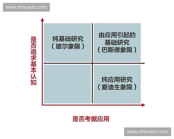 运动缓震片的科技创新与应用探索：提升舒适度与保护性能的关键技术解析